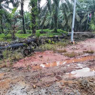 MULA HUJAN DI TENGAH PANAS TERIK