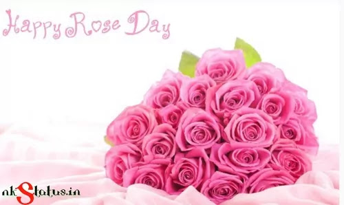 Rose Day Wishes Quotes