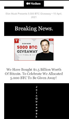 Elon Musk themed crypto scam.