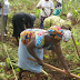 Women farmers lament herders, farmers clash in FCT, demand end to insecurity