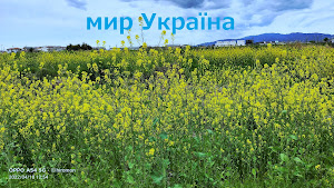 Мир України