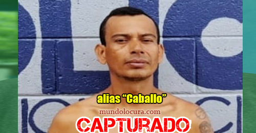 alias caballo