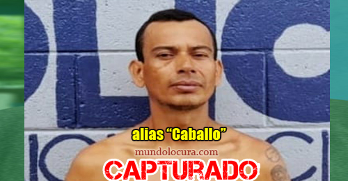 El Salvador: Capturan a alias "Caballo" / Terrorista con antecedentes desde el 2019 por robo agravado
