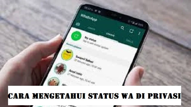 Cara Mengetahui Status WA di Privasi