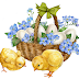 Ostern mit Küken, Eiern, Schneeglöckchen, Vergissmeinnicht, Easter
with chicks, eggs, snowdrops, forget-me-nots