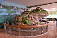 BIG Frog Sculpture at the Australian Reptile Park in Somersby, NSW