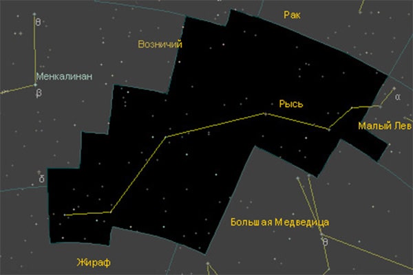 Интересные факты о рыси. Рысь в мифологии. Созвездие Рысь