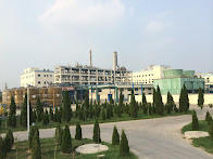 Wuhan  Fortuna  Chemical