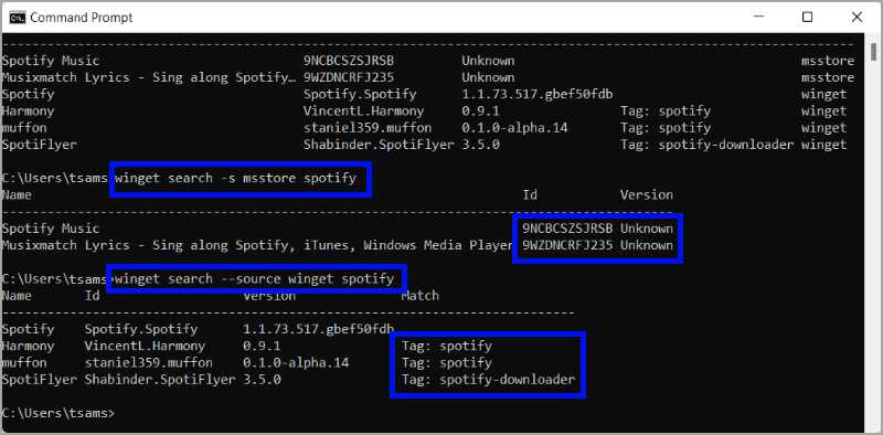 winget-saech-q-msstore-spotify