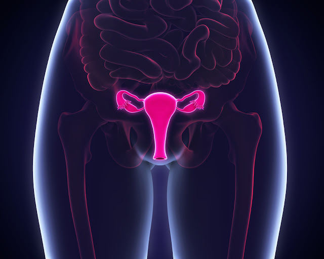 What are the Symptoms of Uterine Cancer