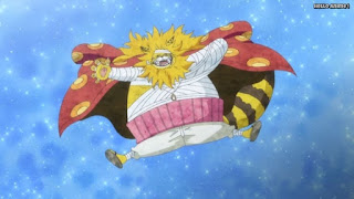 ワンピースアニメ ゾウ編 765話 ネコマムシ 可愛い NEKOMAMUSHI | ONE PIECE Episode 765