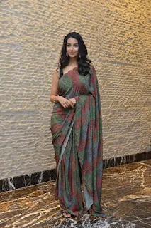 Acress Meenakshi Choudhary at Khiladi Pre release Event