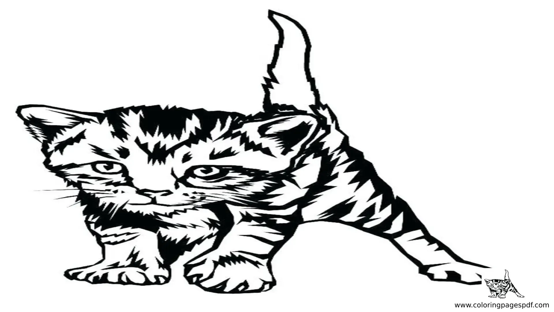 Realistic Kitten Coloring Pages