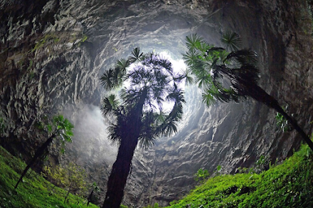 Εκπληκτικό αρχέγονο δάσος με δέντρα 130 μέτρων ανακαλύφθηκε σε κρυφή καταβόθρα της Κίνας