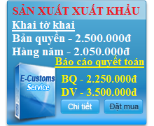 Phần mềm hải quan điện tử FPT VNACCS/VCIS