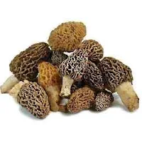 Online mushroom store