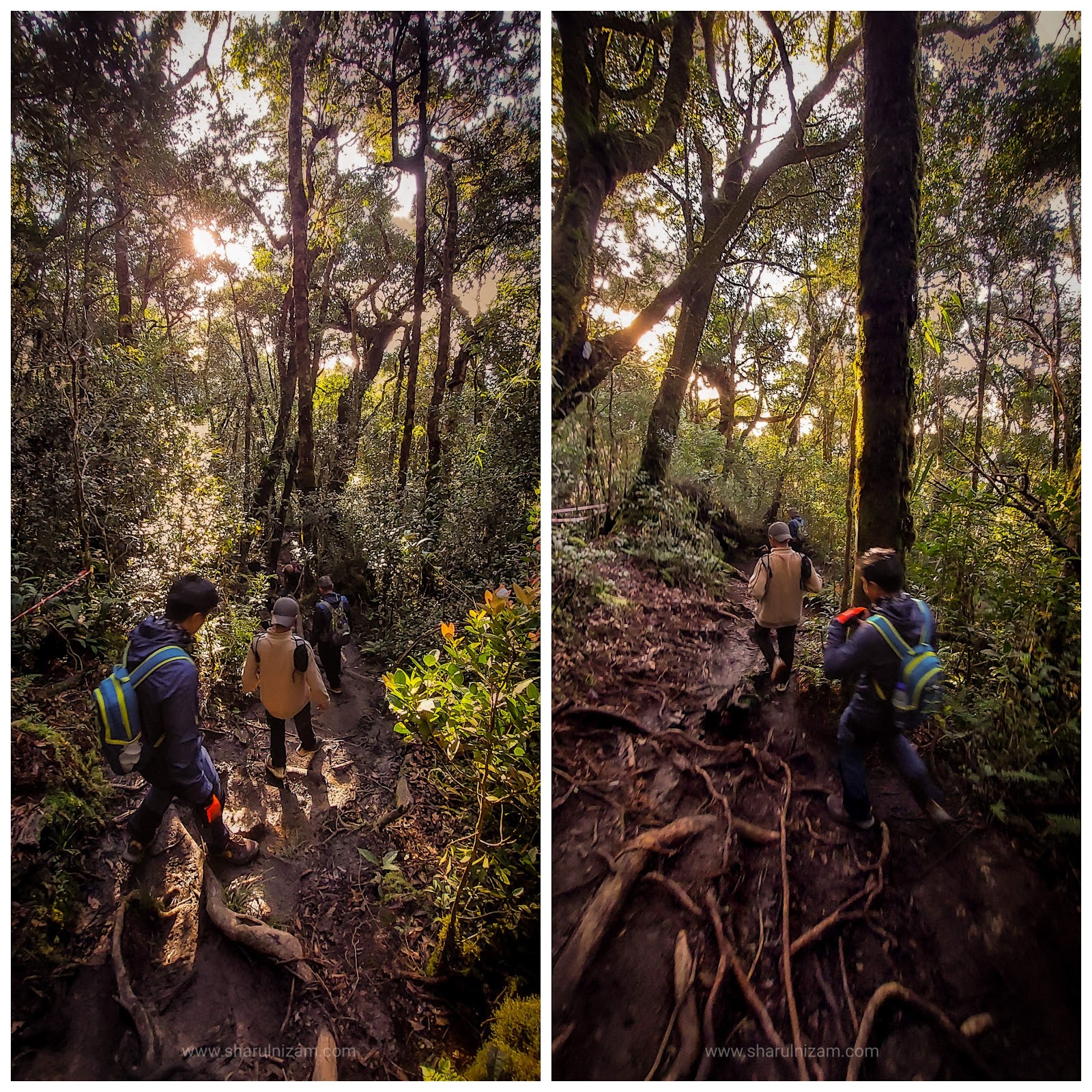 Maragang Hill Sunrise Attack; Pengalaman Melihat 1001 Bintang, Matahari Terbit Dan Gunung Kinabalu