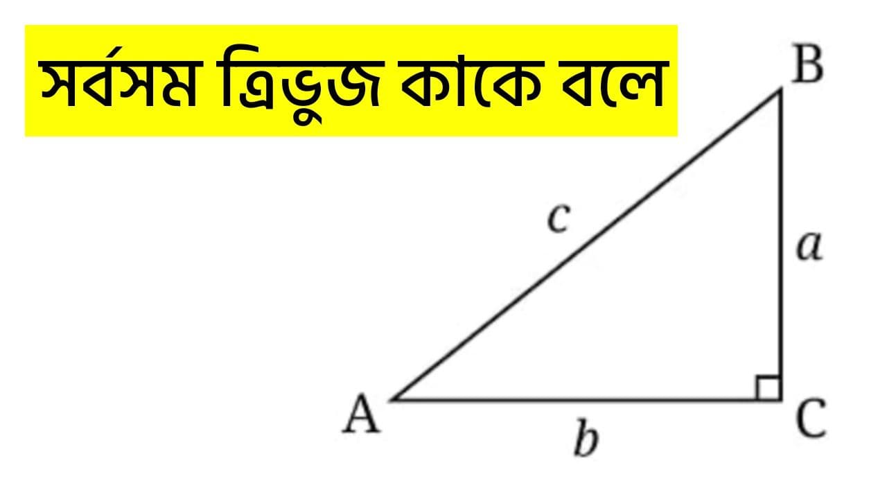 সর্বসম ত্রিভুজ কাকে বলে | What Is A Congruent Triangle?