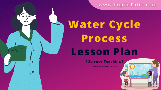 Water Cycle Process Lesson Plan For B.Ed, DE.L.ED, BTC, M.Ed 1st 2nd Year And Class 6th And 7th Science And Geography (Social Studies) Teacher Free Download PDF On Mega And Real School Teaching Skill In English Medium. - www.pupilstutor.com