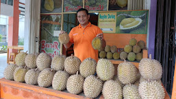 Bandar Durian Citra Raya, Tawarkan Rasa Yang Berbeda Dan Harga Terjangkau
