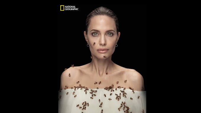 Angelina Jolie couverte d'abeilles