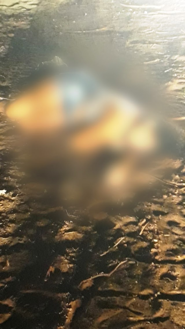 Adolescente de 15 anos é encontrada morta nas proximidades da Lagoa do Portinho