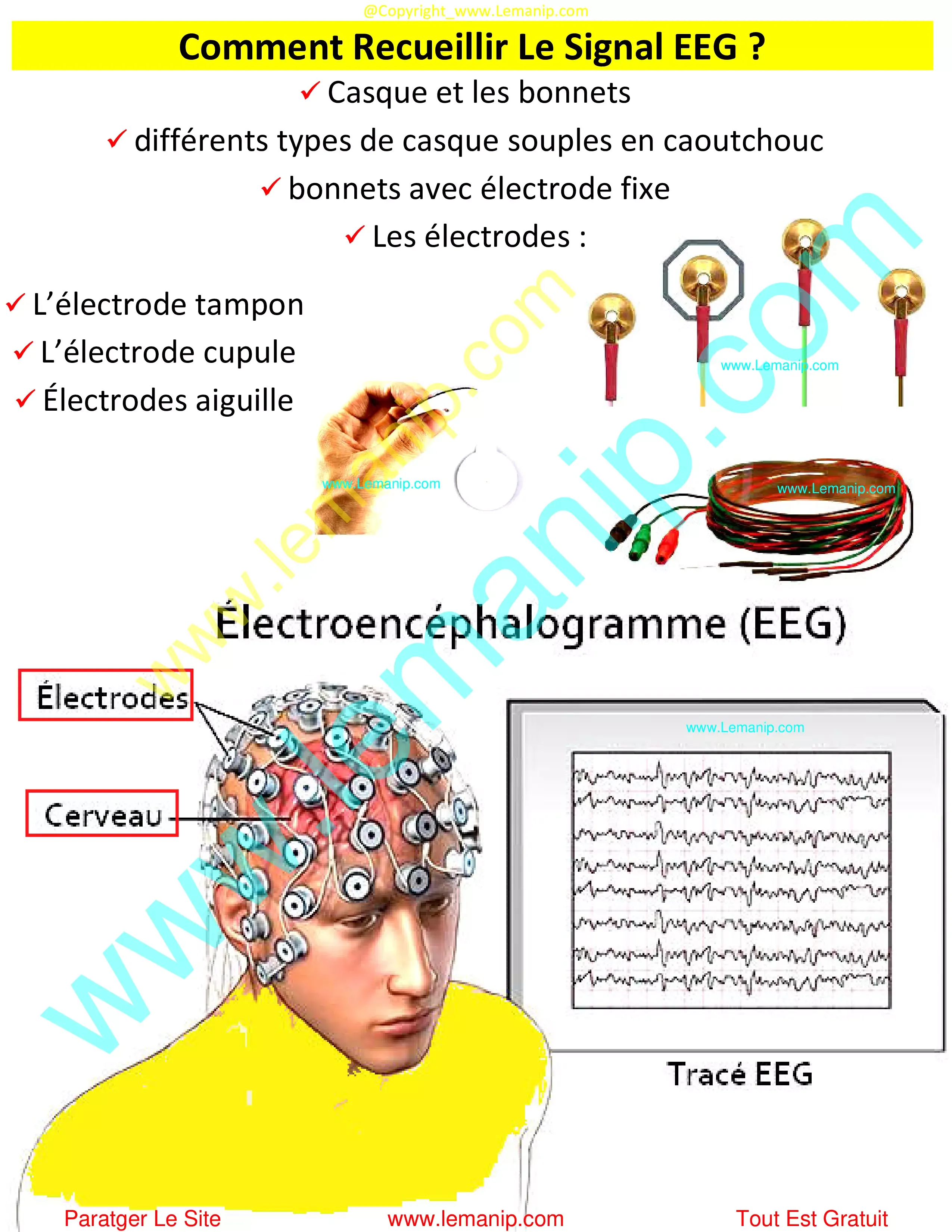 Comment Recueillir Le Signal EEG ?