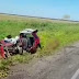 MOTORISTA MORRE APÓS ACIDENTE COM CARRETA NA BR-242,NO OESTE DA BAHIA 