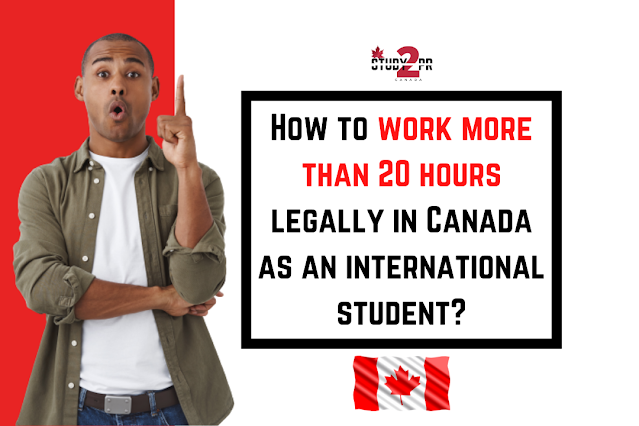 How to work more than 20 hours legally in Canada as an international student?