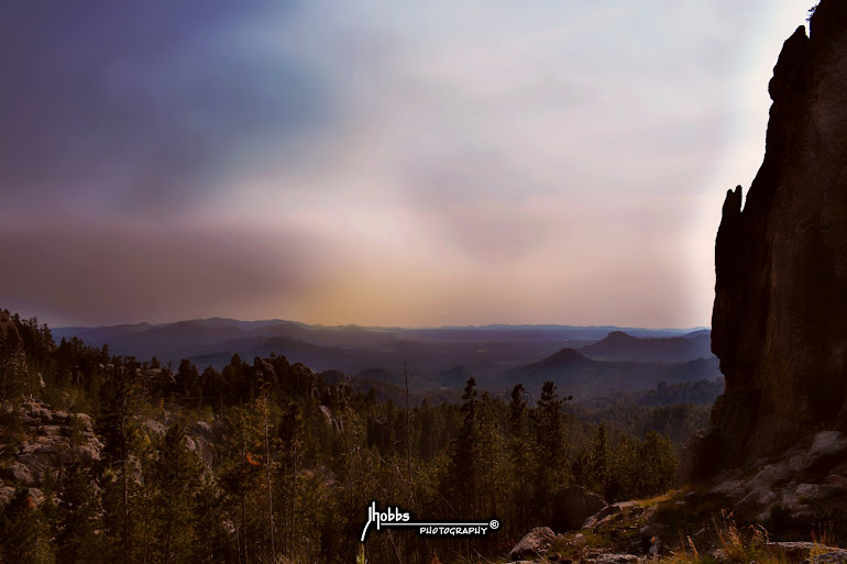 Black Hills - South Dakota