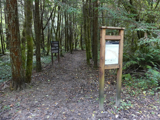 01: signs marking trail into the trees