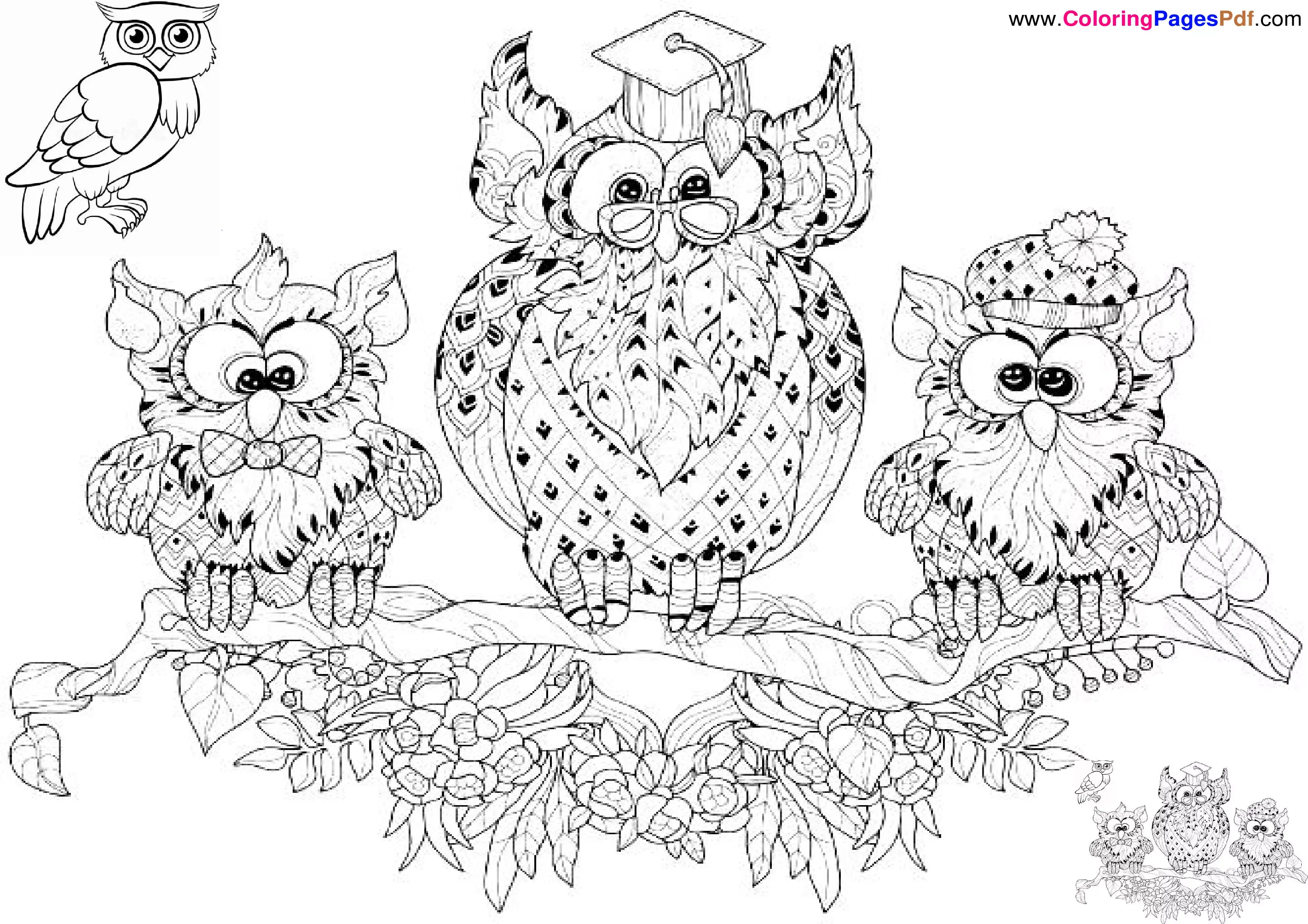 Owl coloring pages for adults