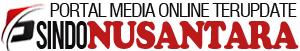Footer Logo