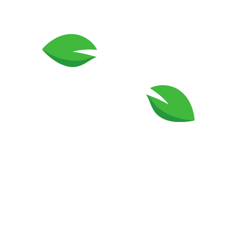 Food and Beverage Blog