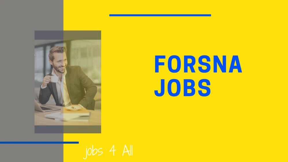 Accountant