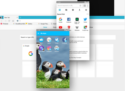 Puffin Browser