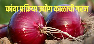  कांदा प्रक्रिया उद्योग कसा चालू करावा | सुरुवात | यंत्र | विक्री  Onion processing industry