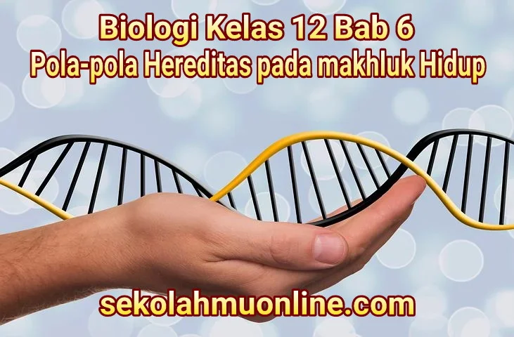 Rangkuman Biologi Kelas XII Bab 6 Pola-pola Hereditas pada makhluk Hidup ~ sekolahmuonline.com