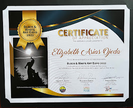 Certificado Black & White Art Expo Diciembre 11, 2022