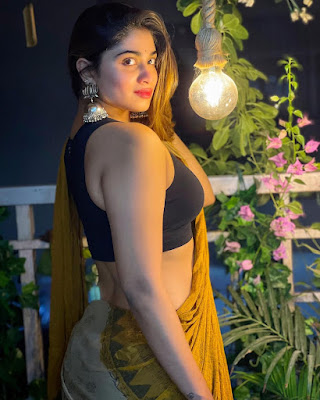 Actress Shivani Narayanan Latest Hot Photos in Saree