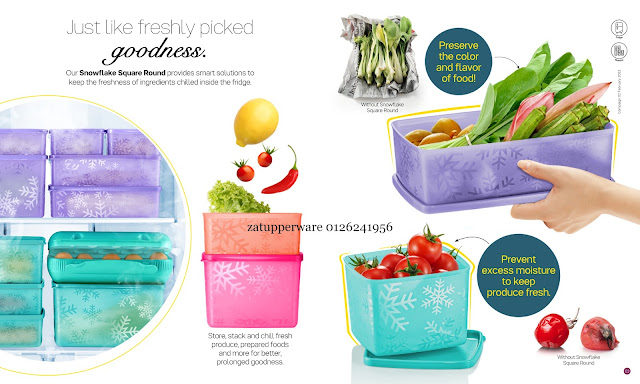 Tupperware Leaflet 5th - 28th February 2022