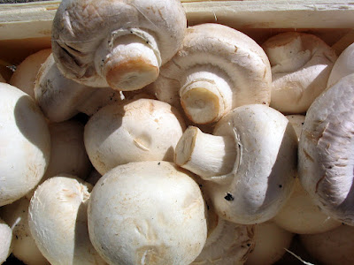 What Are The Healthiest Mushroom To Eat?