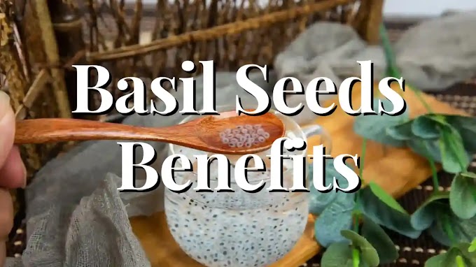 Basil Seeds benefits సబ్జా గింజలు వాటి యొక్క పూర్తి విశిష్టత, అందరికి ఉపయోగపడె దివ్య ఔషధం లా పనిచేస్తుంది. ఎలా ఉపయోగించాలి?