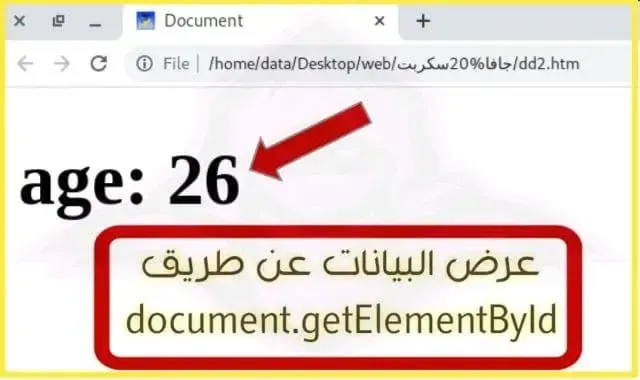 عرض البيانات عن طريق getElementById جافاسكربت