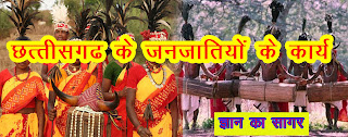 छत्तीसगढ़ के जनजातियों का कार्य | Work of tribes of Chhattisgarh Beverages of tribes of Chhattisgarh