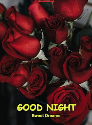 Good Night Rose Pic Download