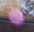 mysterious pink orb