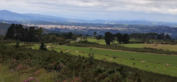 Vistas de Melide bajando de la Sierra do Careón. Camino Primitivo