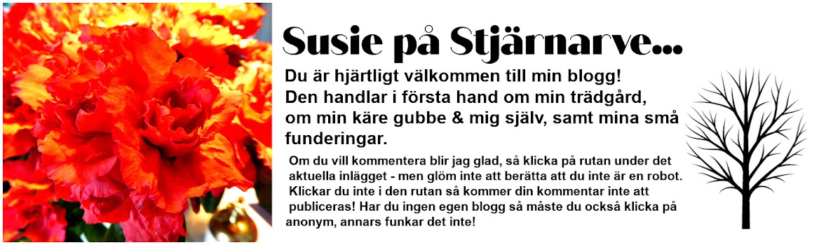 SUSIE PÅ STJÄRNARVE...