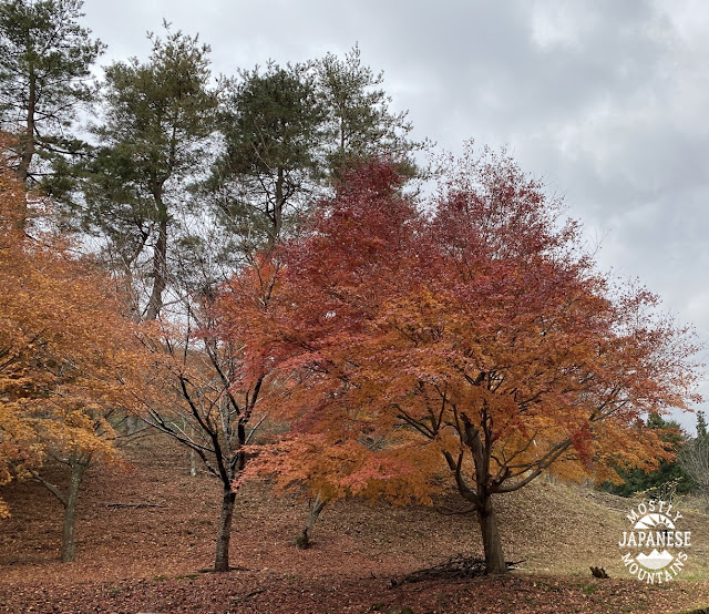 Mitsutoge fall leaves